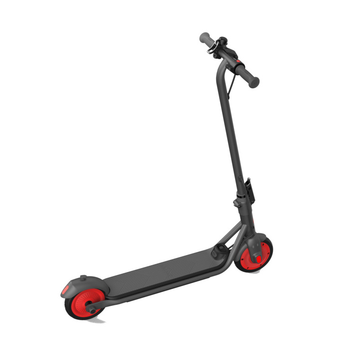 E-Kickscooter Zing C20 by Segway
