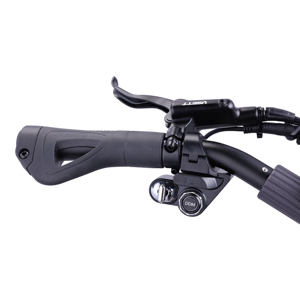 VSETT 9 APEX 25kmh VSETT 9 APEX 25kmh